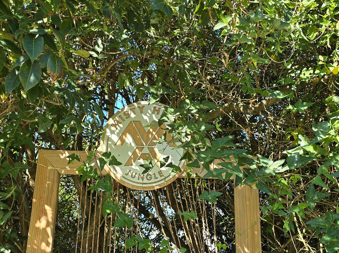 Misty Mountain Reserve主图