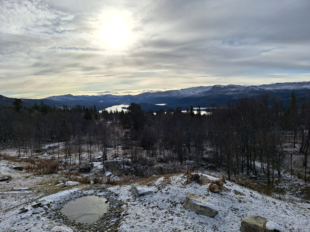 Langedrag Nature Park-Nesbyen必去景点