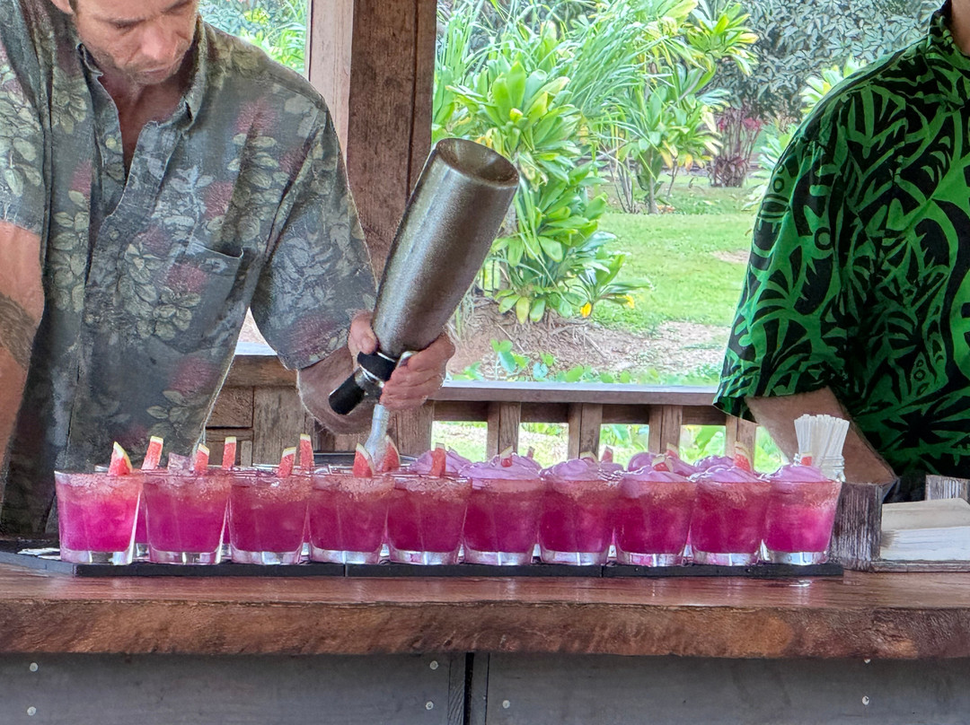 Kauai Safaris-利胡埃必去景点