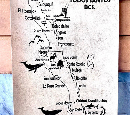 Divewithus.bcs-拉巴斯必去景点