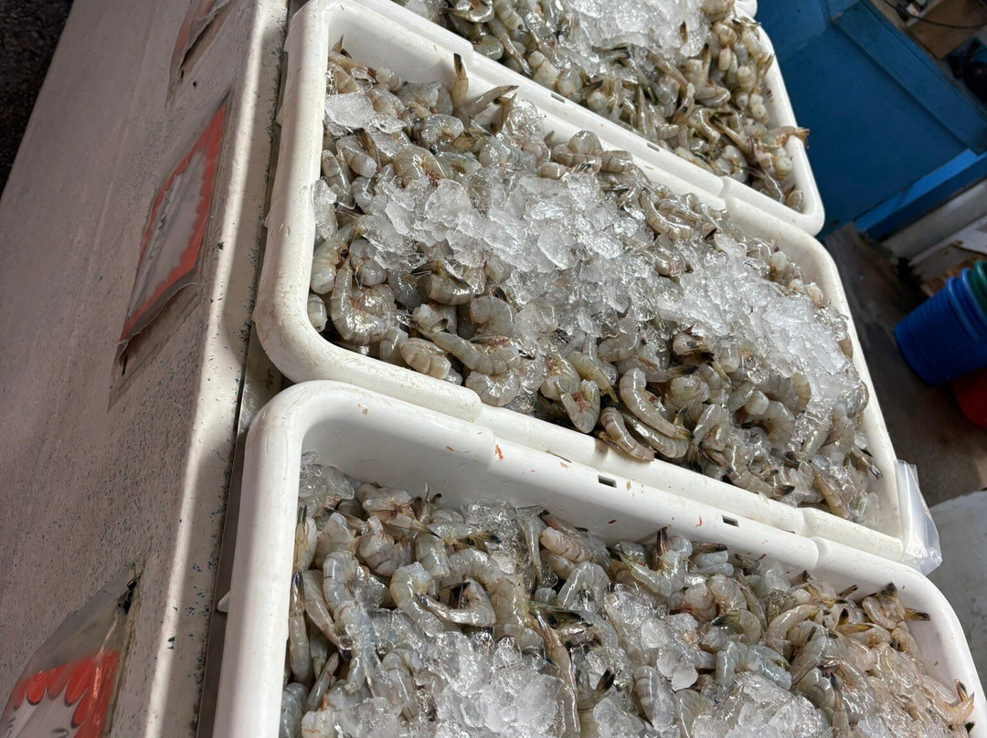 Billy's Seafood-Bon Secour必去景点