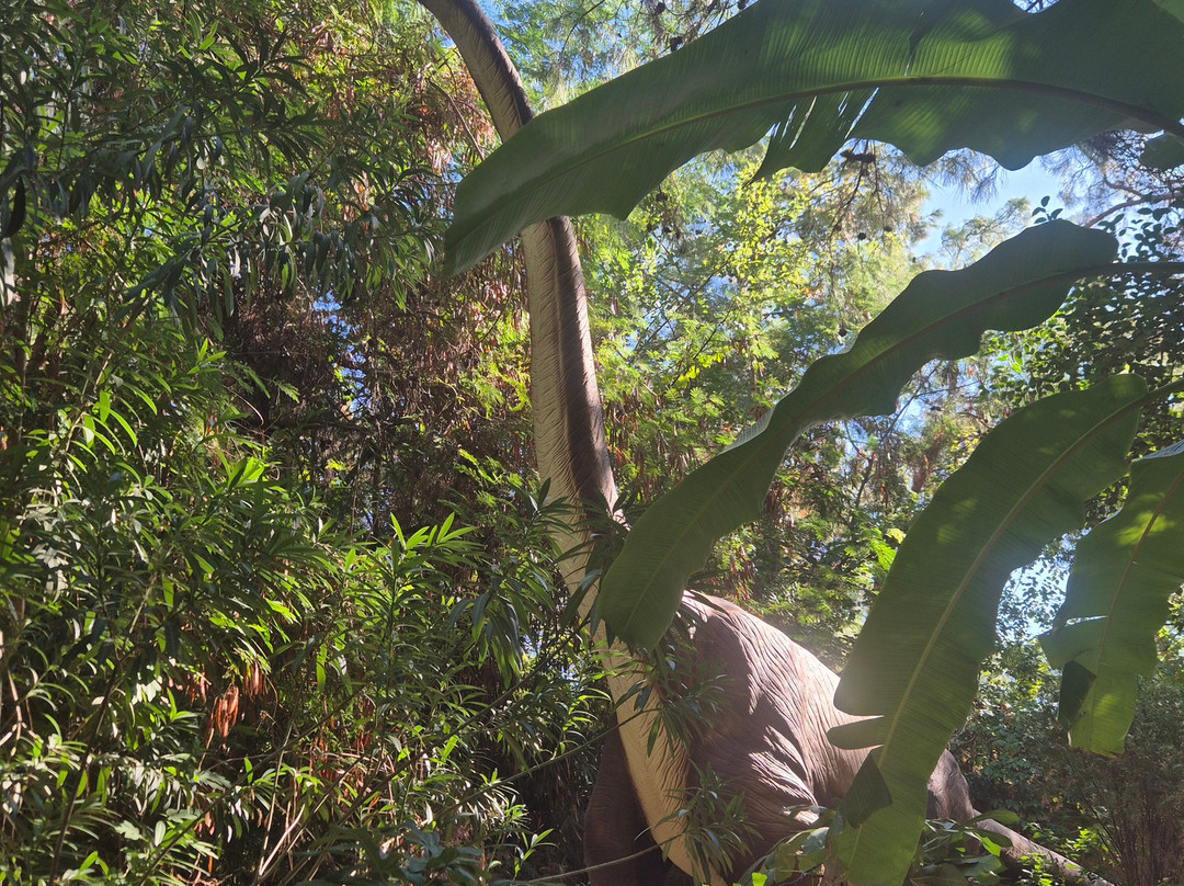 Dinopark-Goynuk必去景点