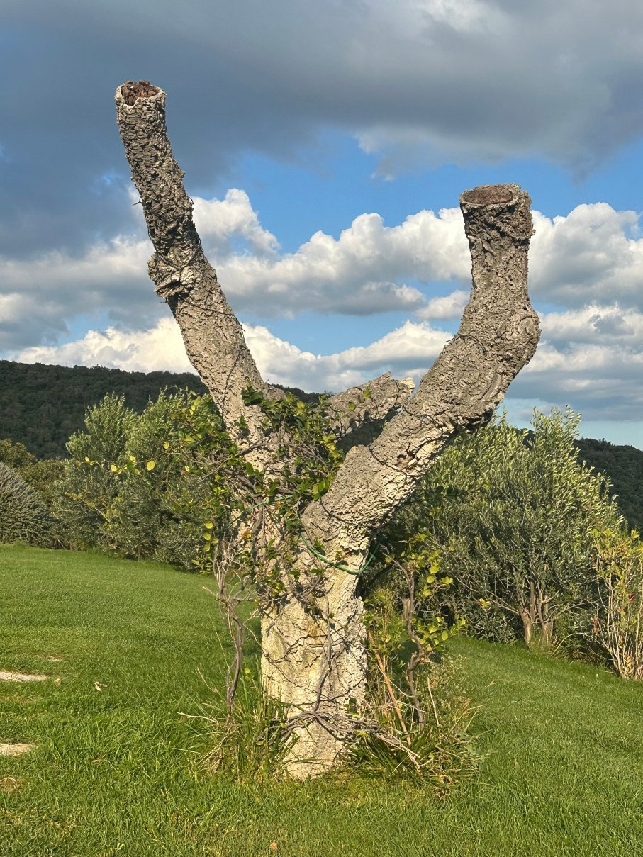 Tenuta Valle Buia-浴室