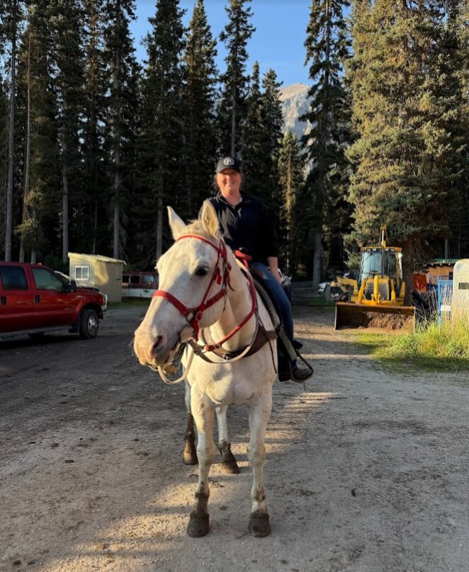 Timberline Tours Ltd. - Private Day Tours-路易斯湖必去景点