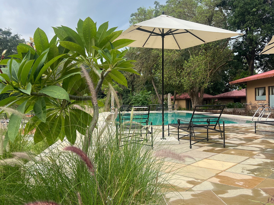 Aloof The Jungle Lodge Ranakpur
