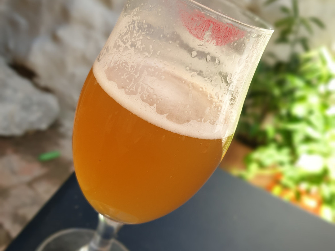 La French Bulldog-Lambesc必去景点