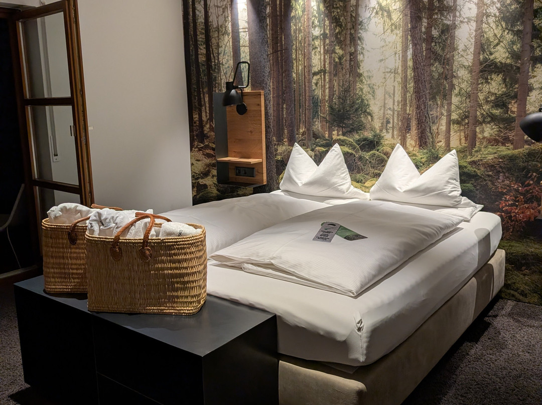 基瑞巴赫尔酒店主图