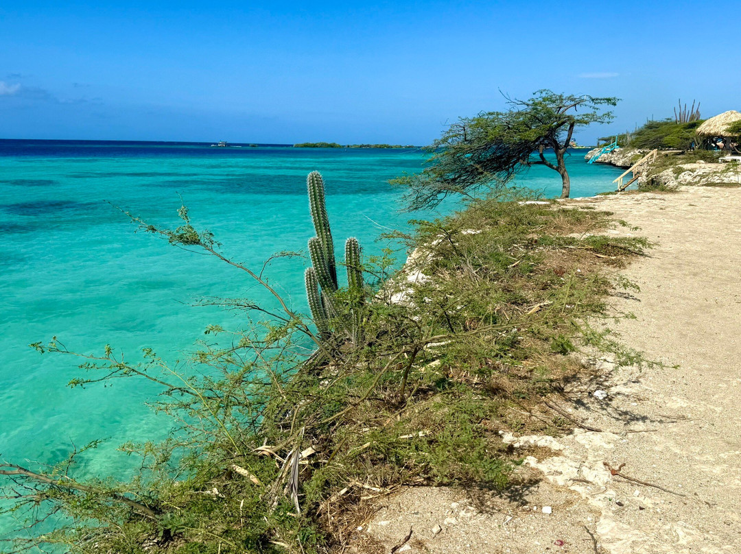 Mangel Halto Beach-萨瓦内塔必去景点