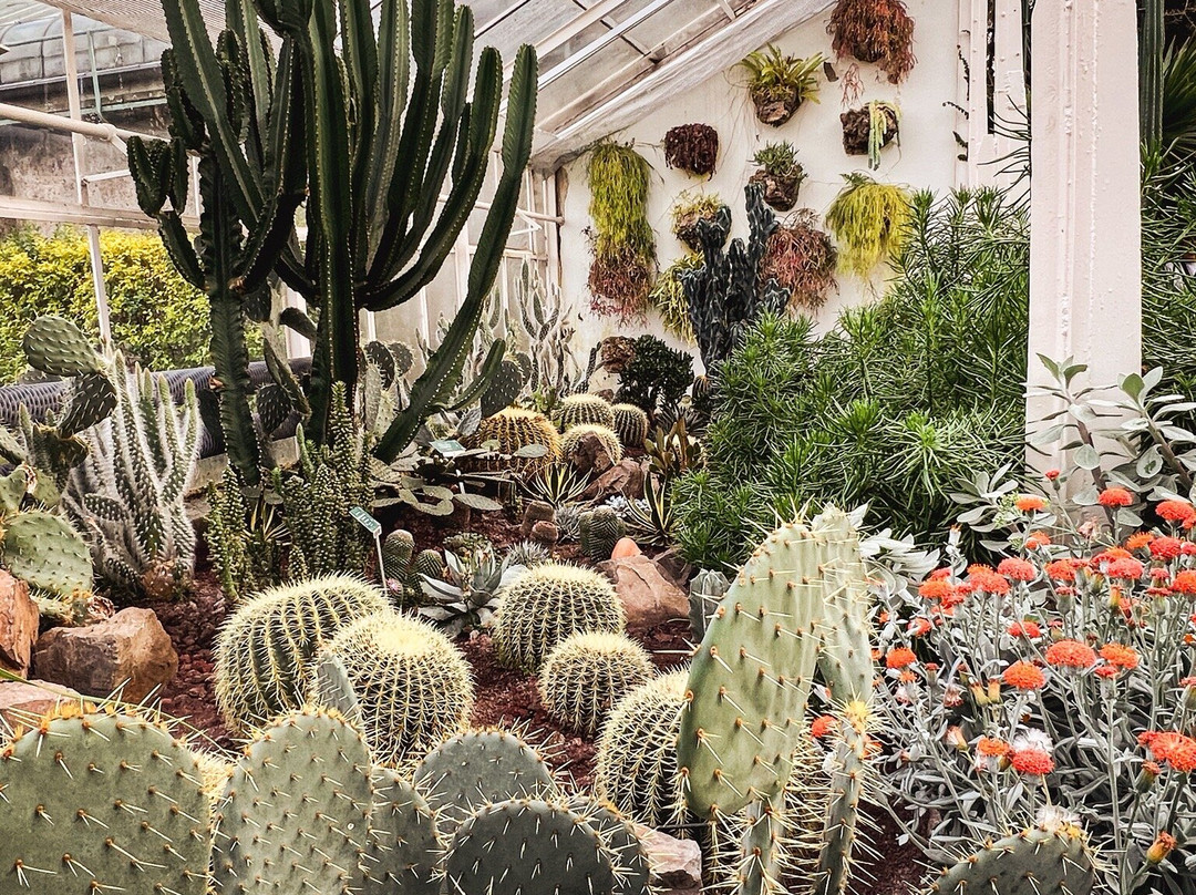 Palmiarnia Walbrzych-Walbrzych必去景点