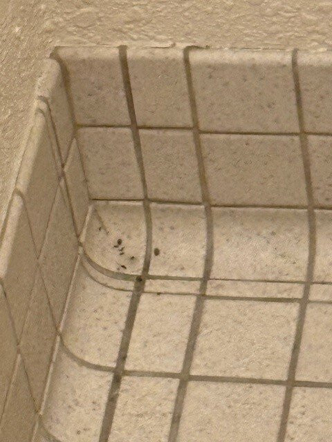 Super 8 by Wyndham Deerfield/Northbrook主图