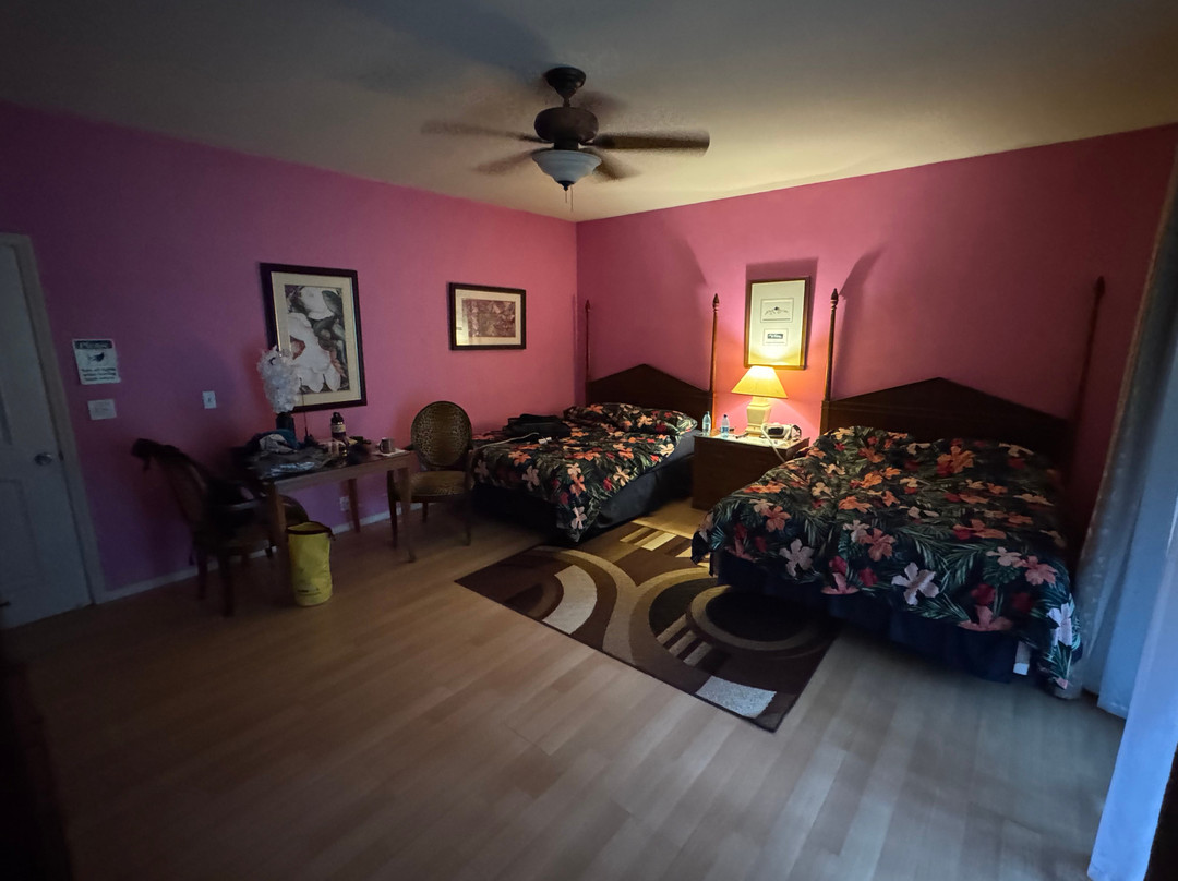 火山森林客栈主图