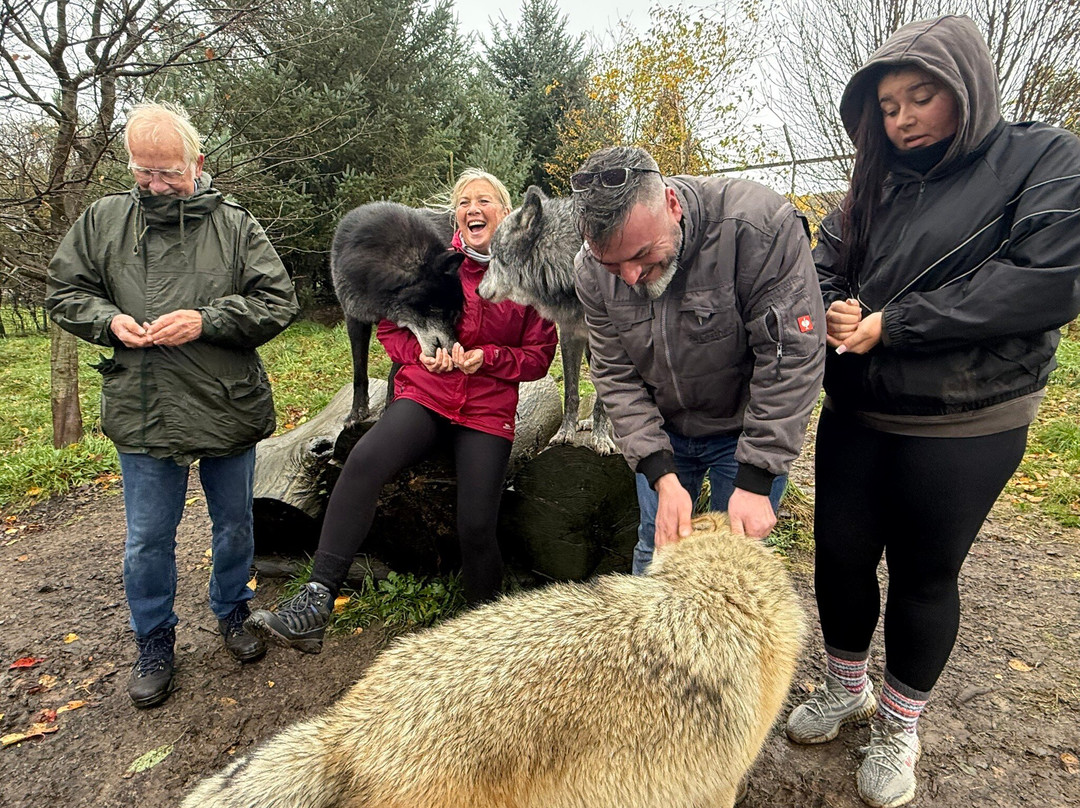 Predator Park-Ayside必去景点