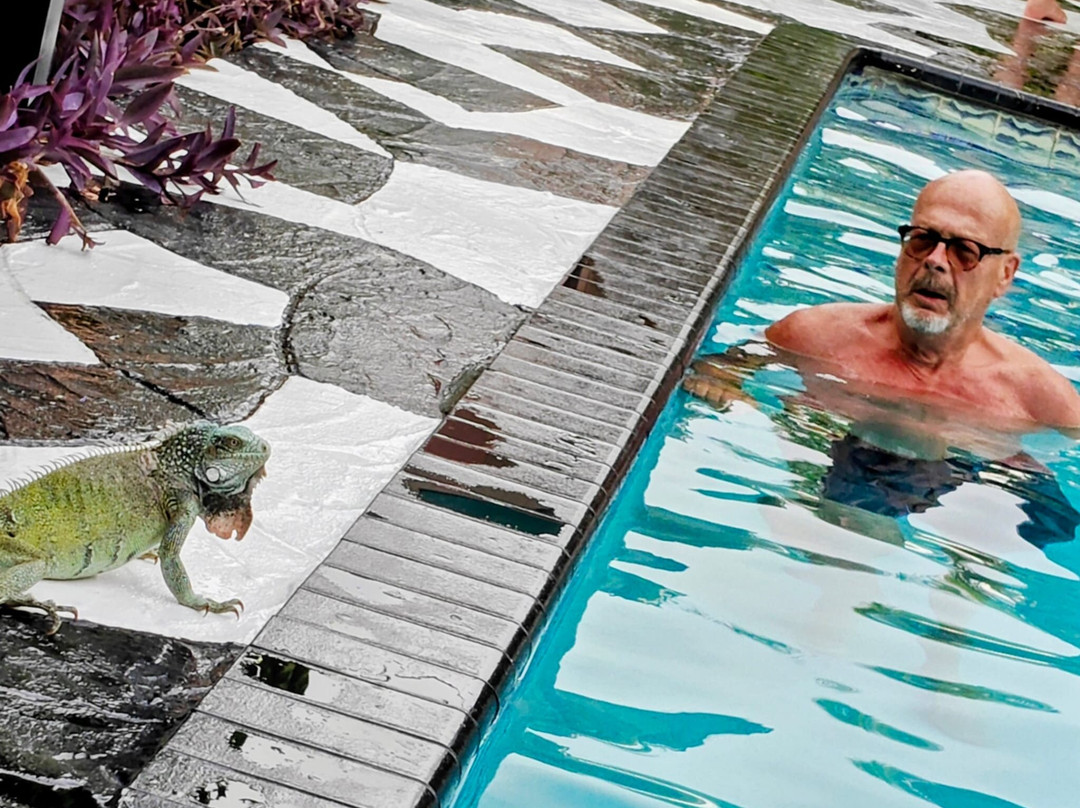 Thuishaven Boutique Mini-Resort主图