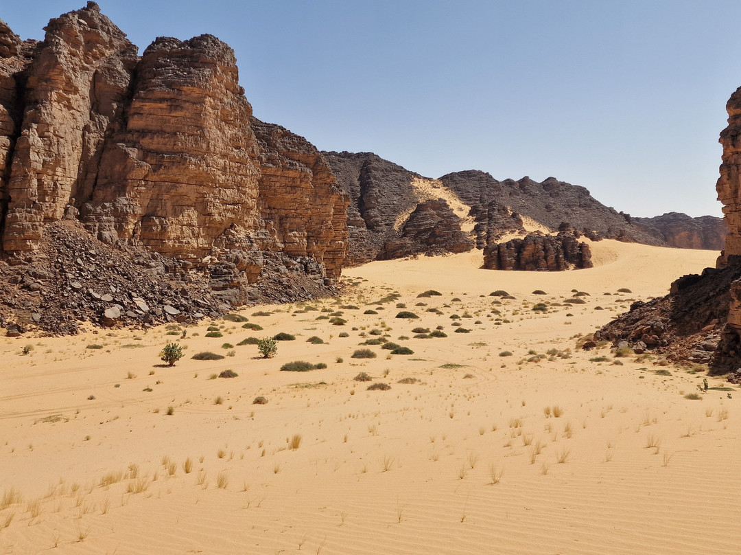 Fancyellow Travel Services-阿尔及尔必去景点