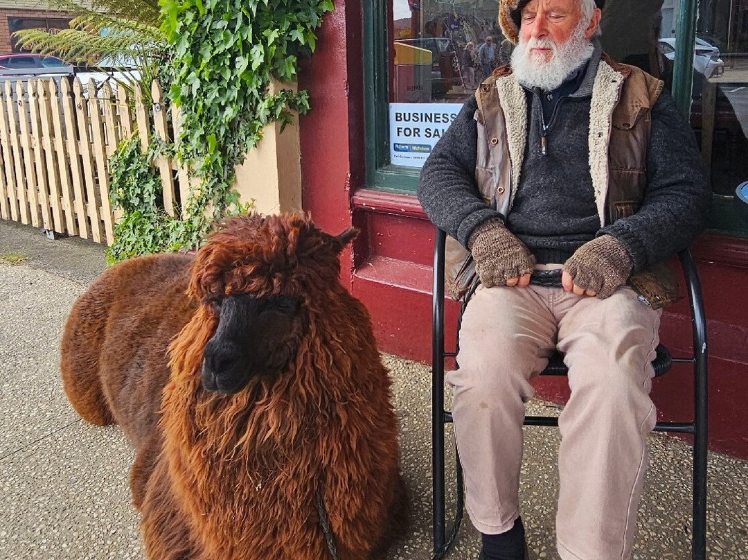 Sheffield Visitor Information Centre-谢菲尔德必去景点
