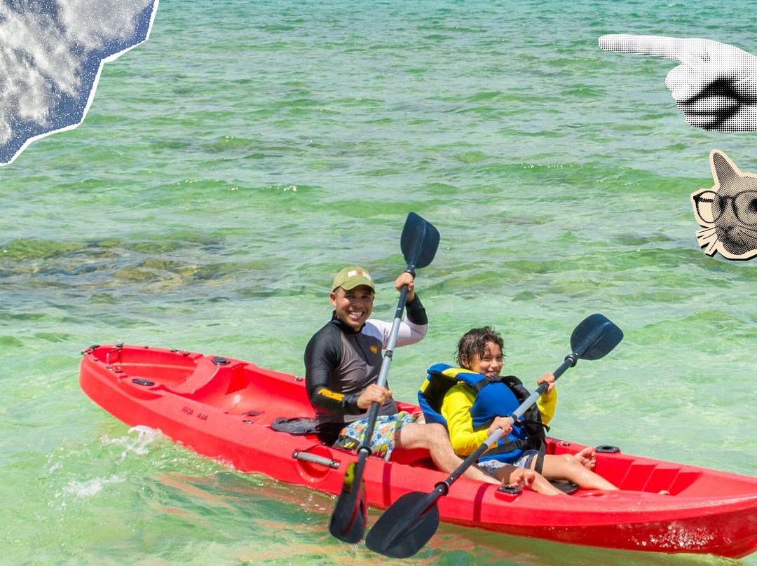 Cartagena Insider Tours-卡塔赫纳必去景点