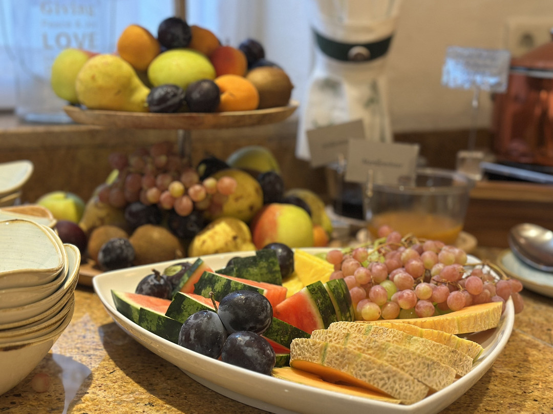 Hotel Stegerbräu Radstadt主图