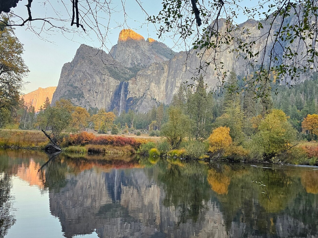 Yosemite Private Tours-Wawona必去景点