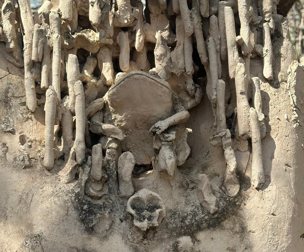 Terrafuse-Noord必去景点