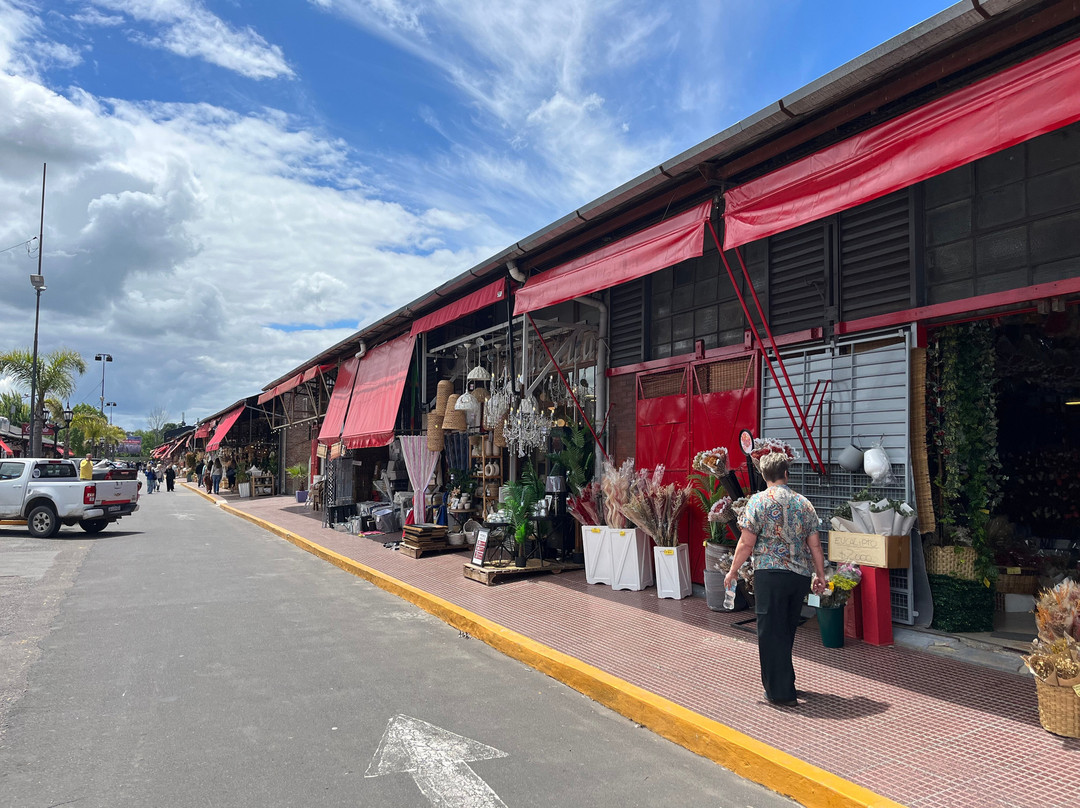 Puerto de Frutos-蒂格雷必去景点