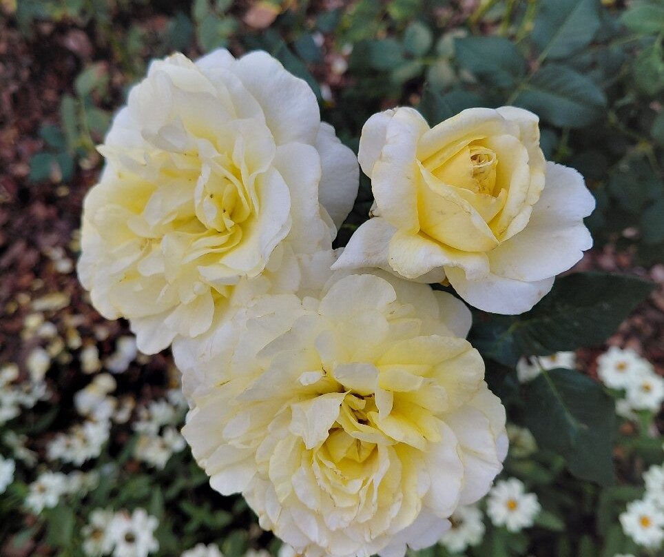 Ramat HaNadiv-Zichron Yaakov必去景点