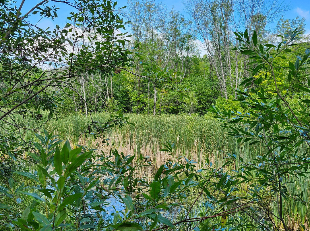 Le Parc Des Hauts-Fonds-St Augustin de Desmaures必去景点