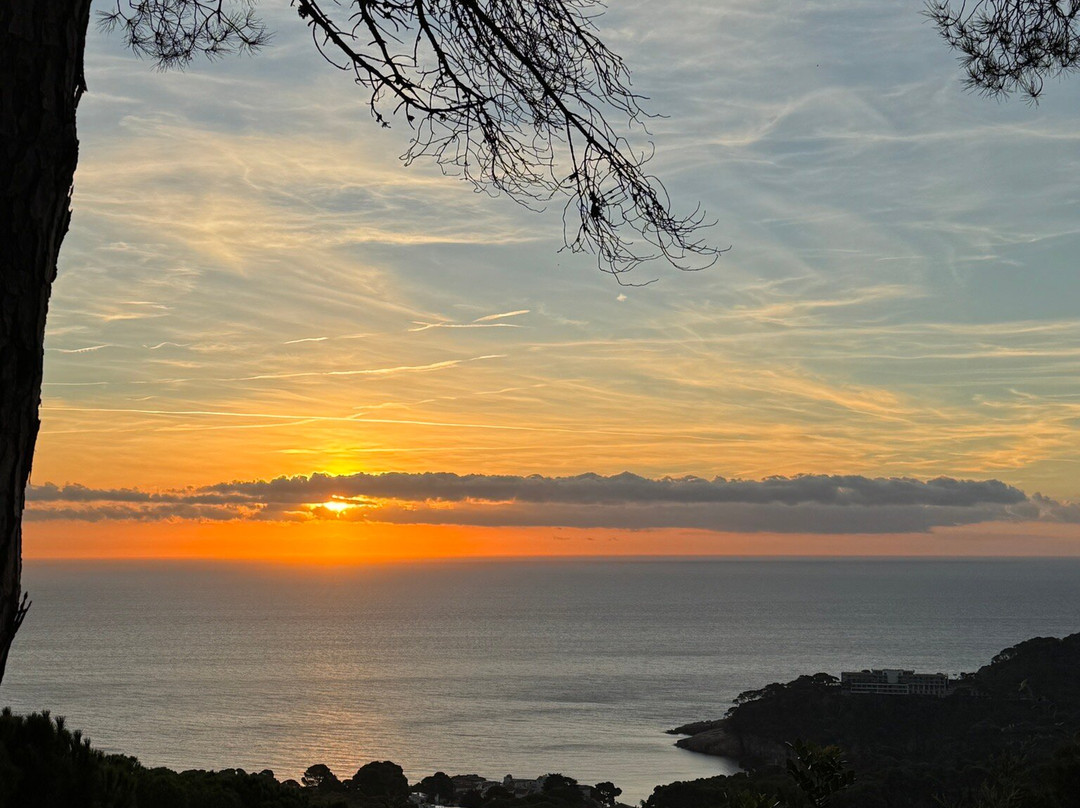 Hostal Sa Barraca主图