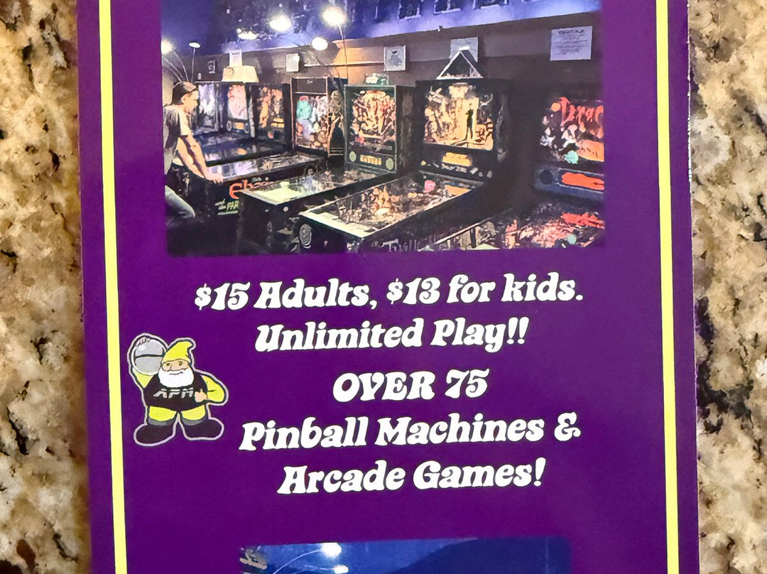 Appalachian Pinball Museum-亨德森维尔必去景点