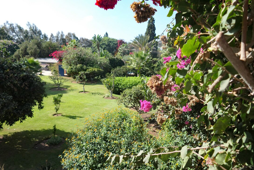 拉威拉蔓特林酒店主图