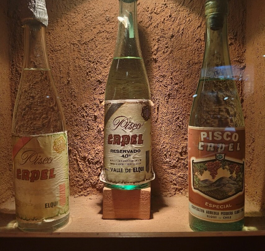 Centro Turistico Cooperativa Capel-Vicuna必去景点