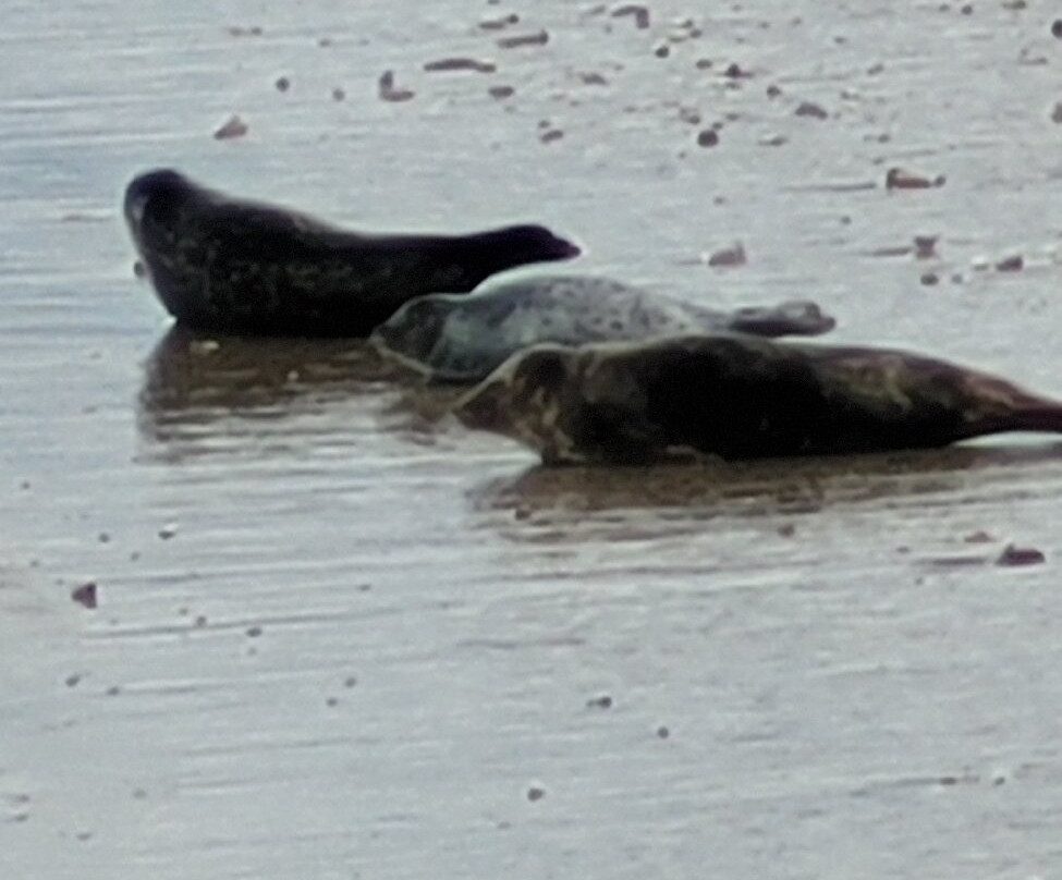 Plage d'Ostende-奥斯坦德必去景点