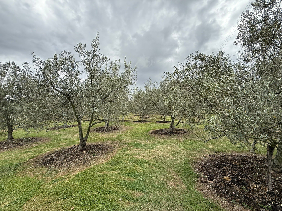 Huerto Olivanto-莱瓦镇必去景点