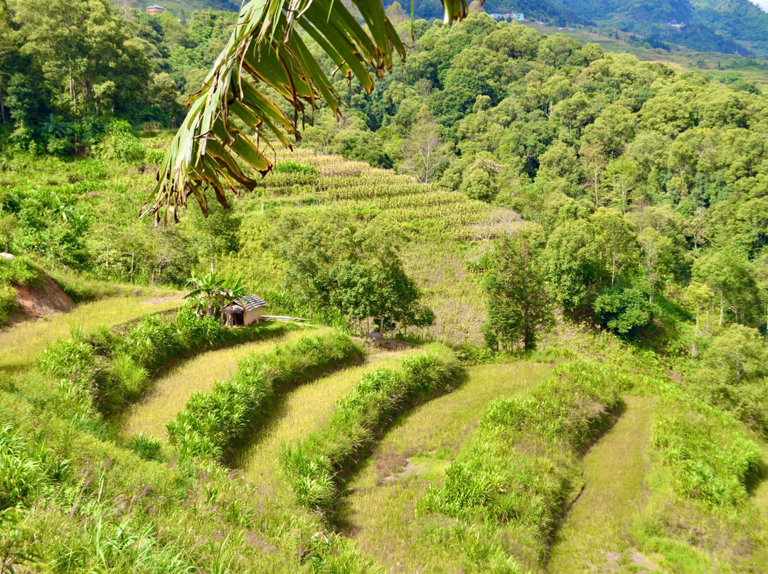 Zonitrip - Day Tours-Yen Bai必去景点