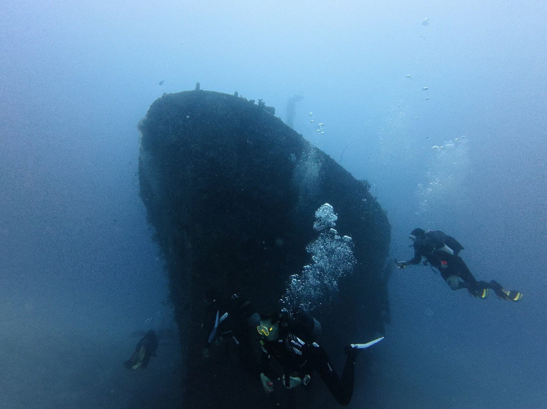 Maritim Diving Centre-巴拉克拉瓦必去景点
