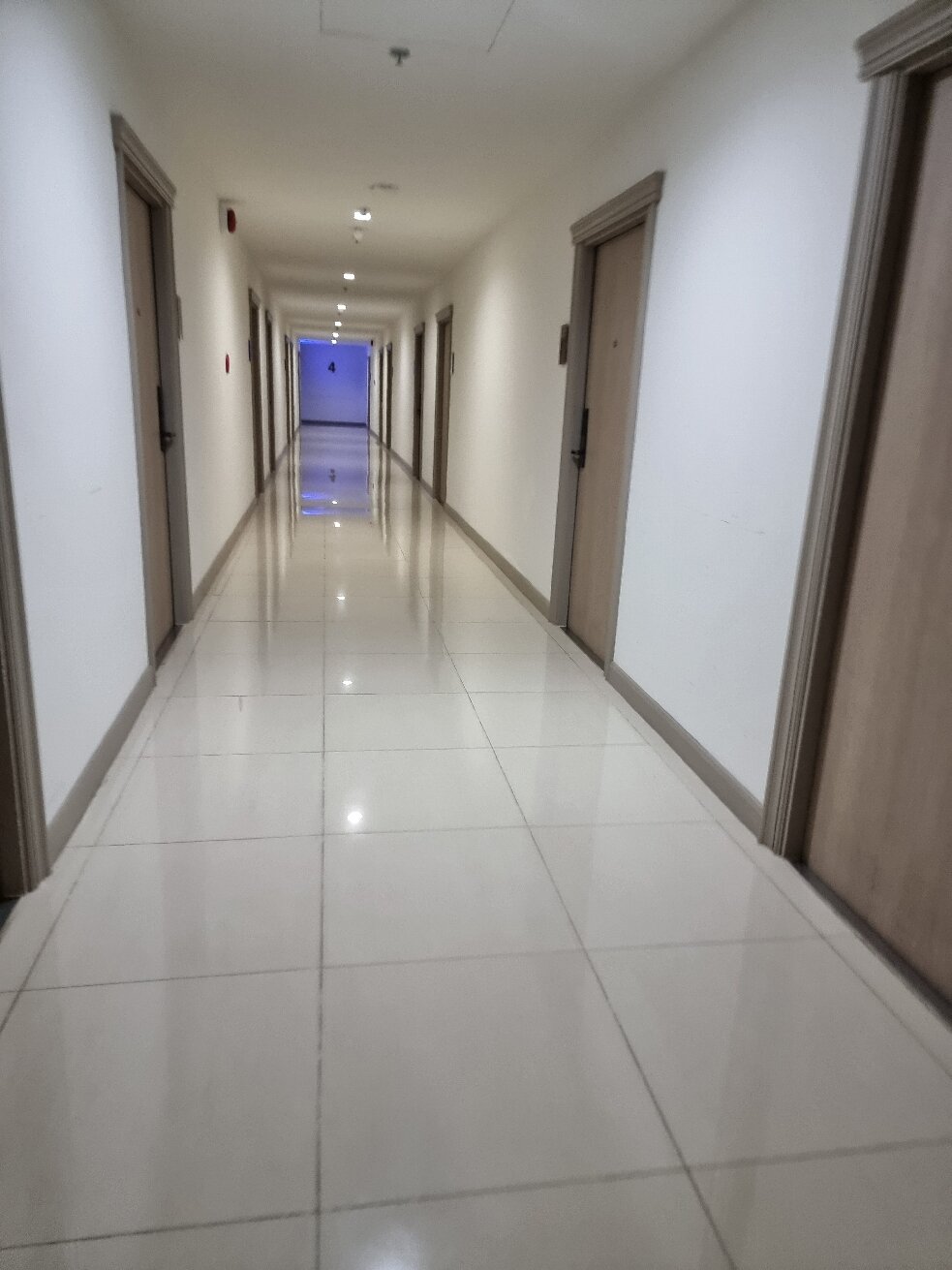 Oriole Residence-官方