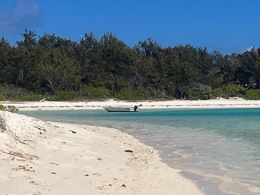 One Drop Excursions-格兰高伯必去景点