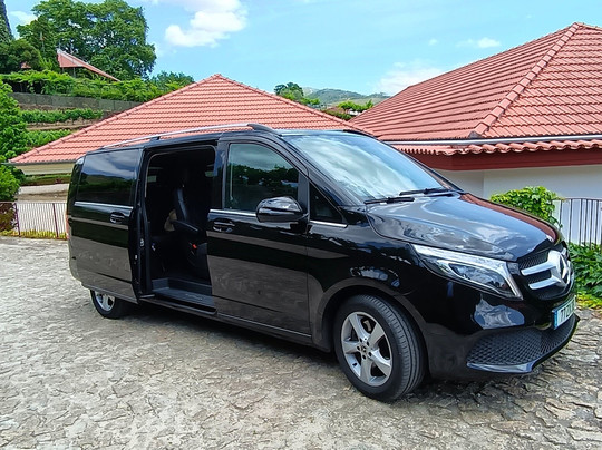 Peter's Beetle Tours & Transfers-波尔图必去景点