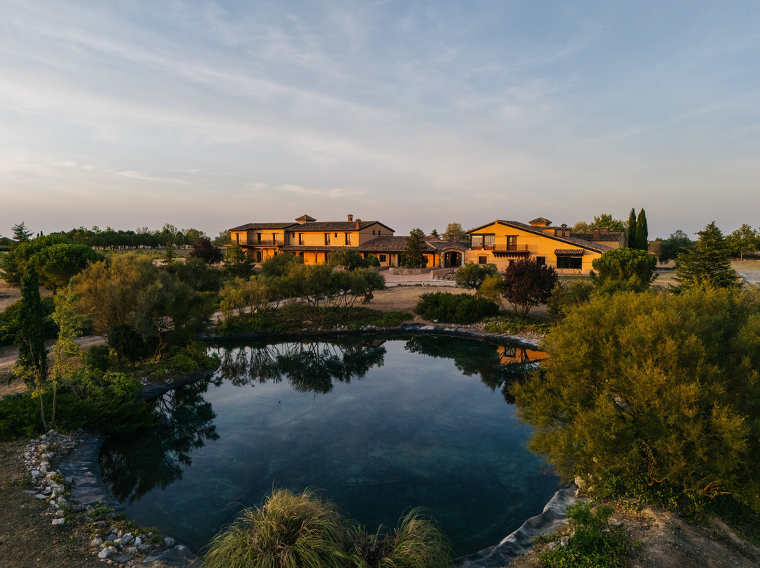 abba Las Viñas Tiedra