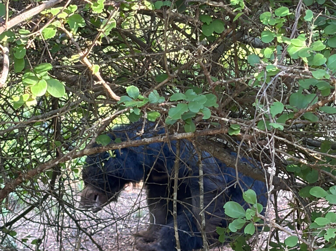 Freedom Safari Jeep Tours-蒂瑟默哈拉默必去景点