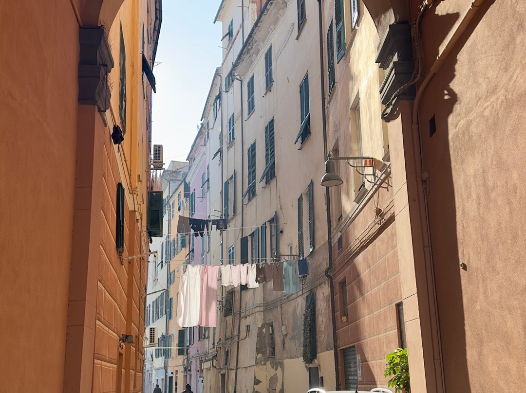 Historic Center Of Savona-萨沃纳必去景点