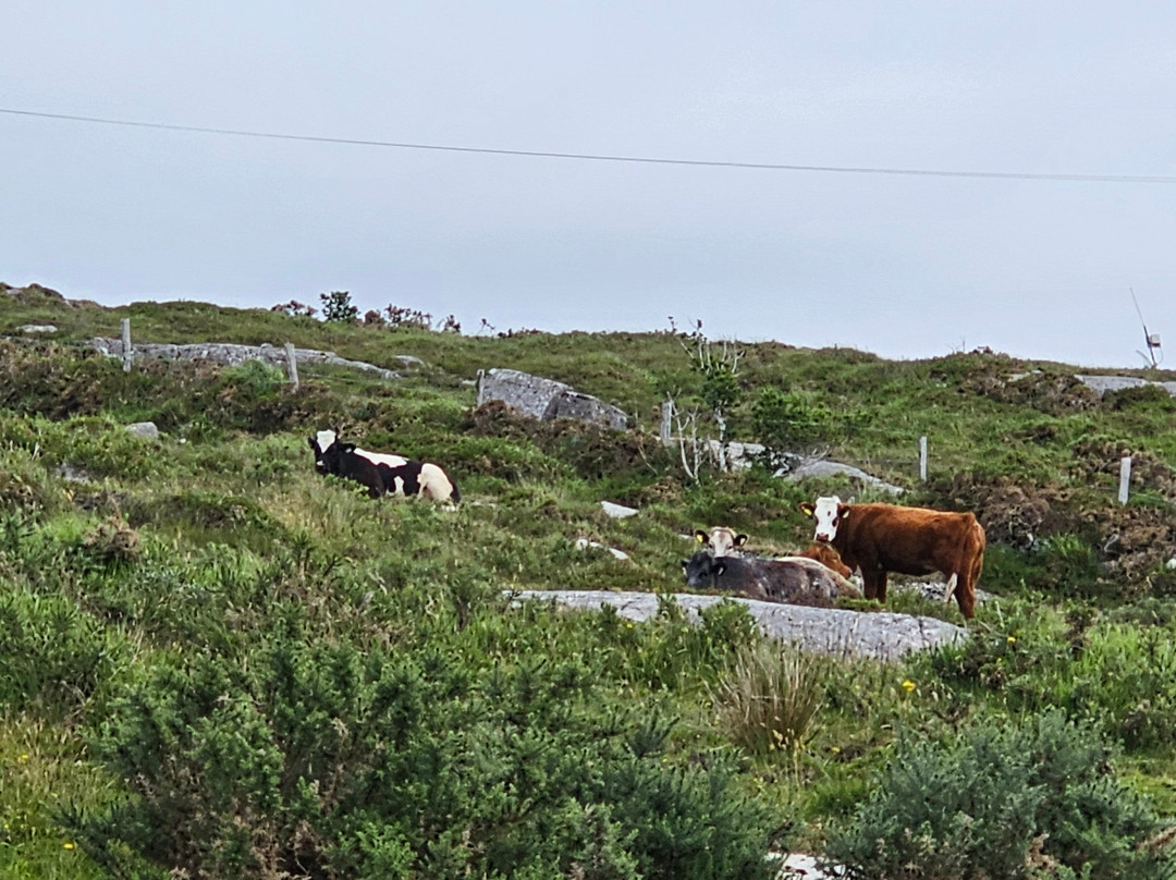 Crossriver B&B主图