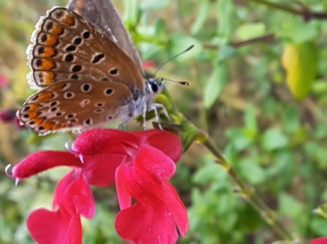L'atelier Bota-Trets必去景点