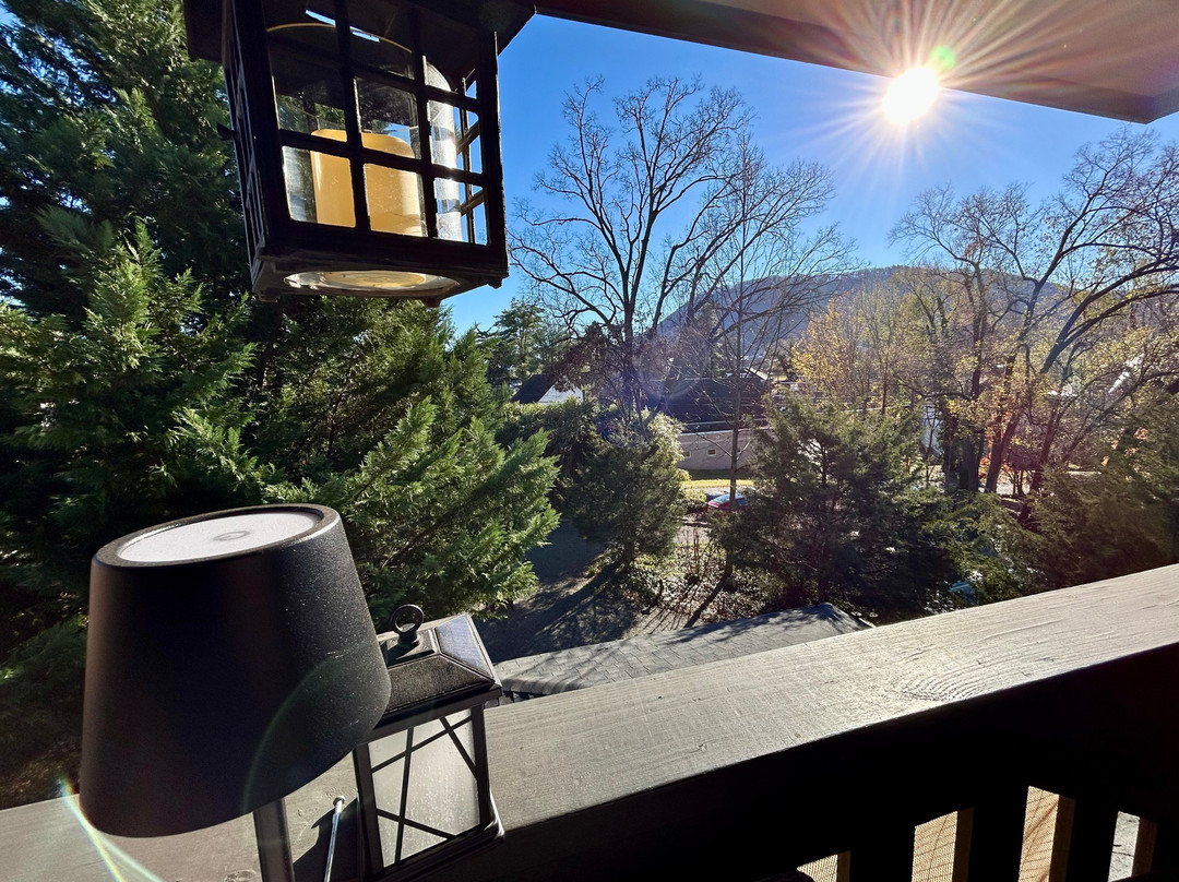 Black Lantern Inn - Roanoke主图