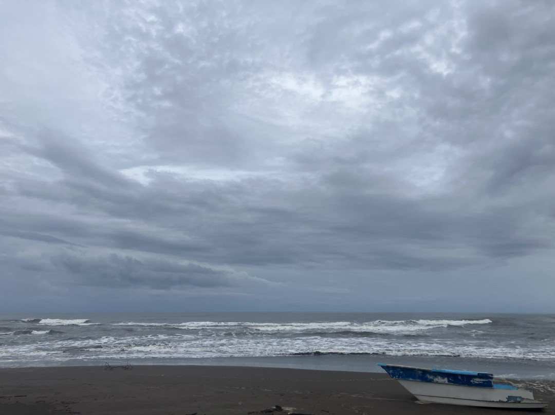 Playa Tortuguero-Barahona必去景点