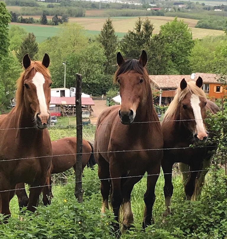 Caval'Form-Chasselay必去景点