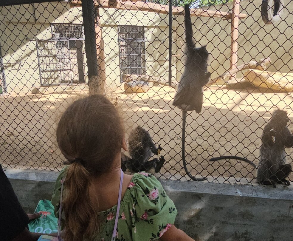 National Zoological Gardens of Sri Lanka-拉非尼亚山必去景点