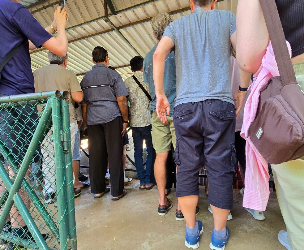 Udawalawa Elephant Orphanage-乌达瓦拉瓦必去景点