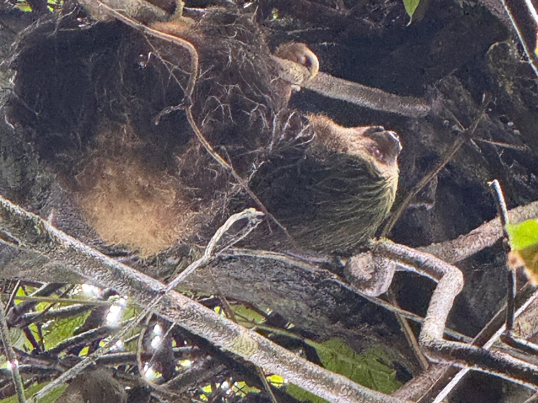 No Limit Adventures CR-利比里亚必去景点