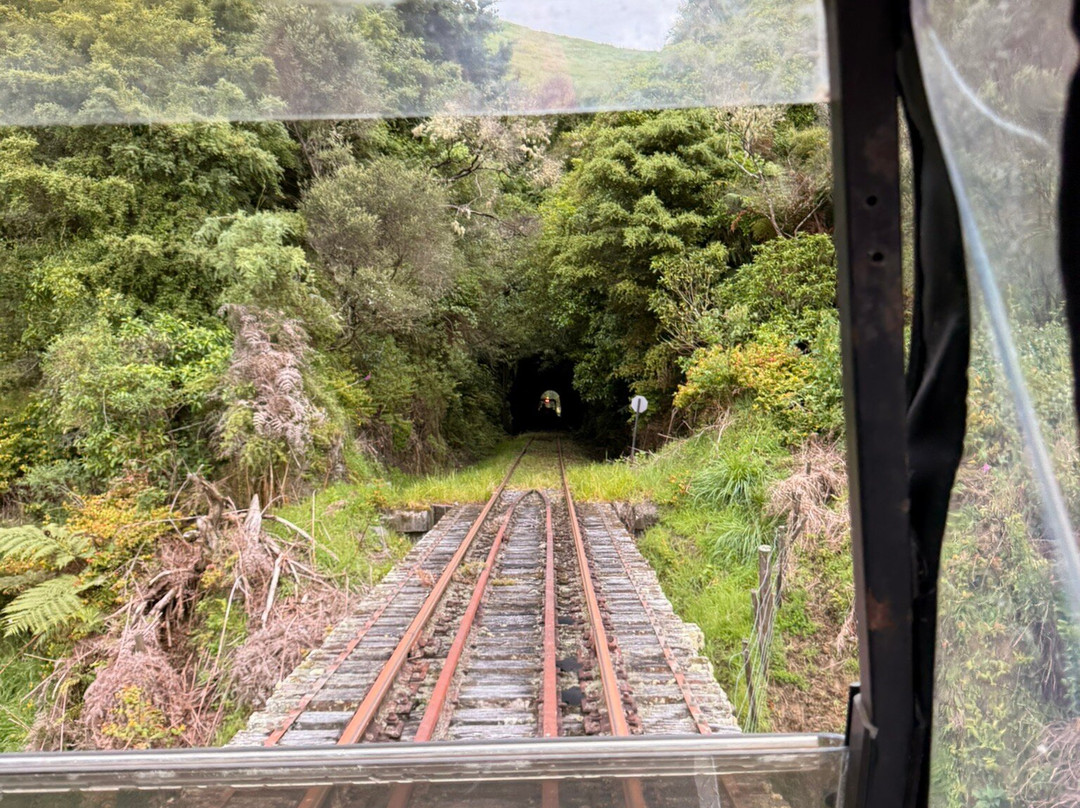Forgotten World Adventures-Taumarunui必去景点