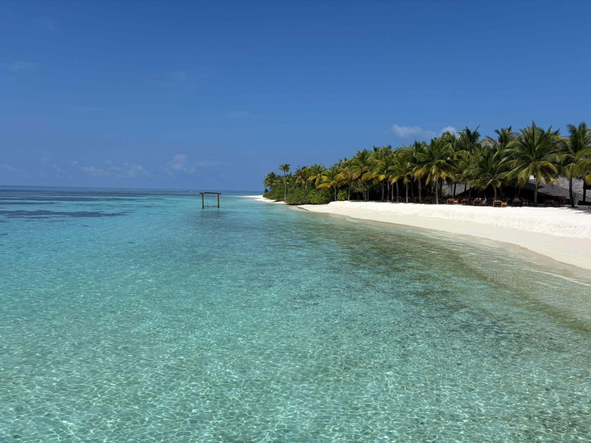 Kuredhivaru Resort & Spa Maldives-泳池